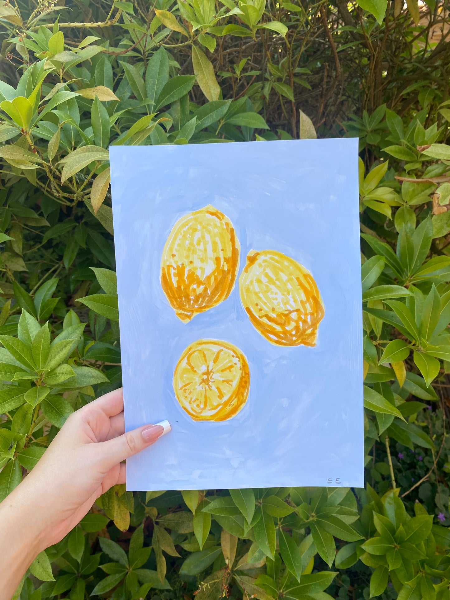 ‘Lemons’ #34