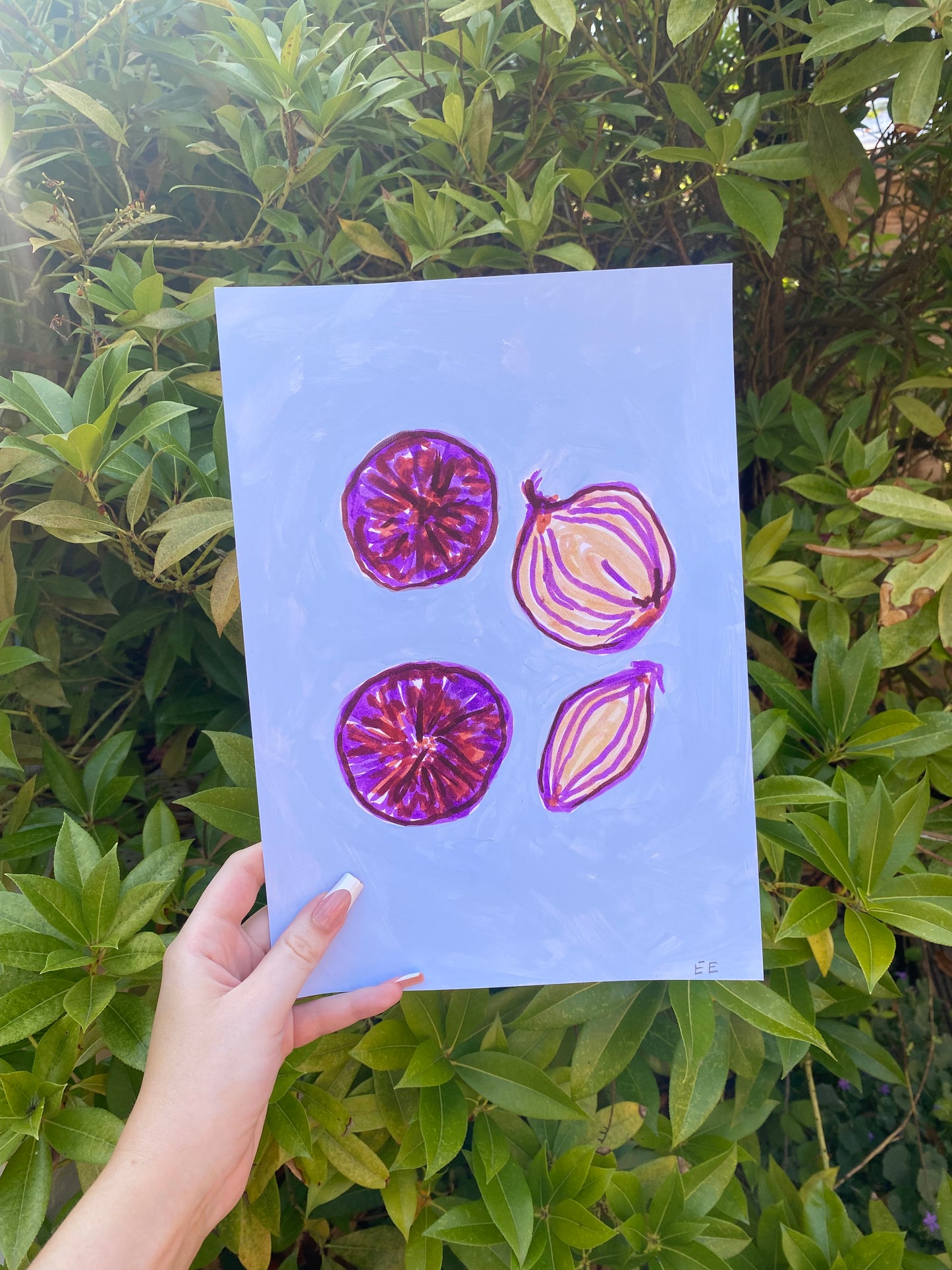 ‘Red Onions’ #33