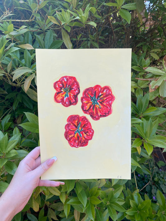 ‘Beef Tomatoes’ #29