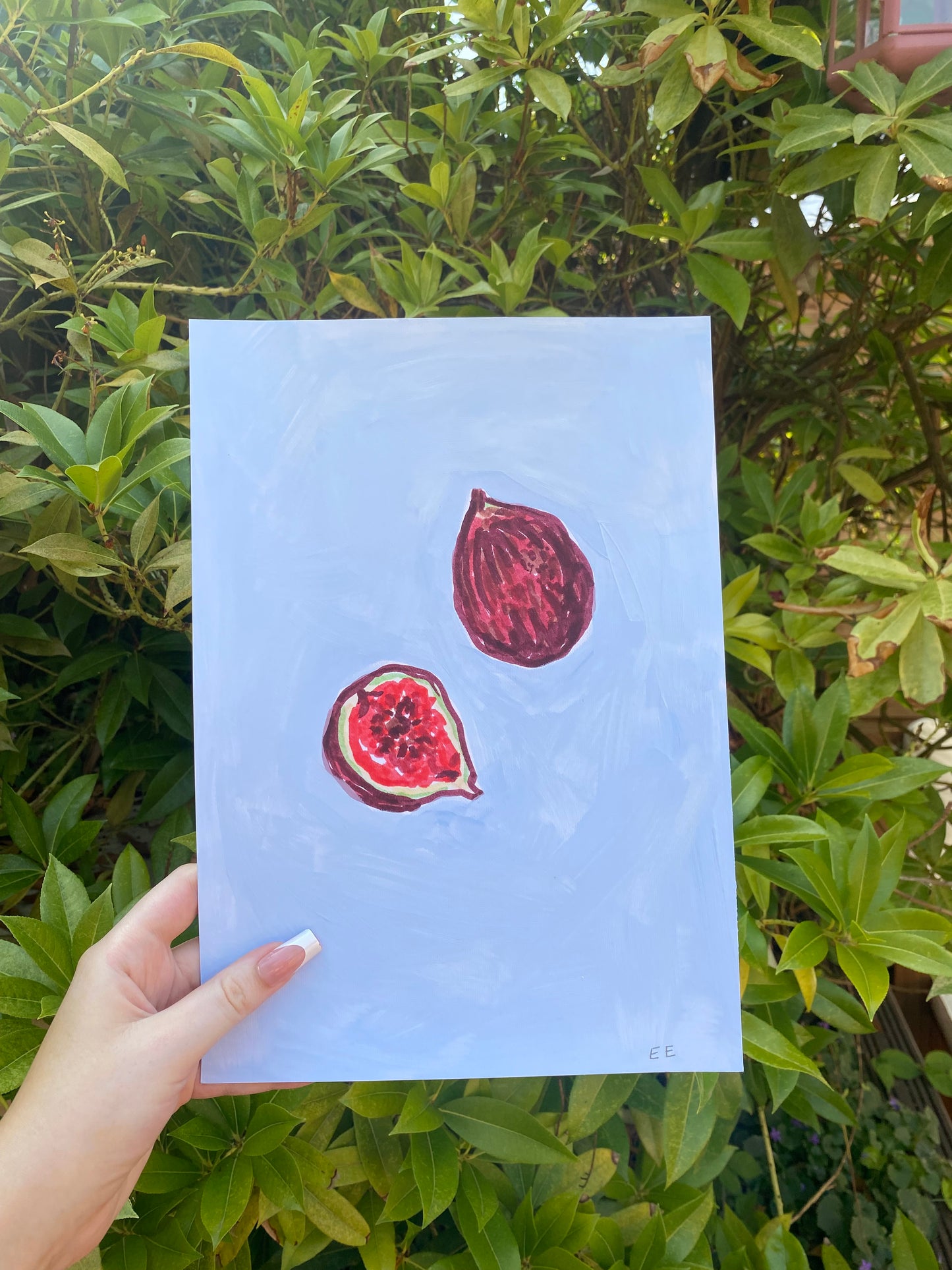 ‘Figs’ #2