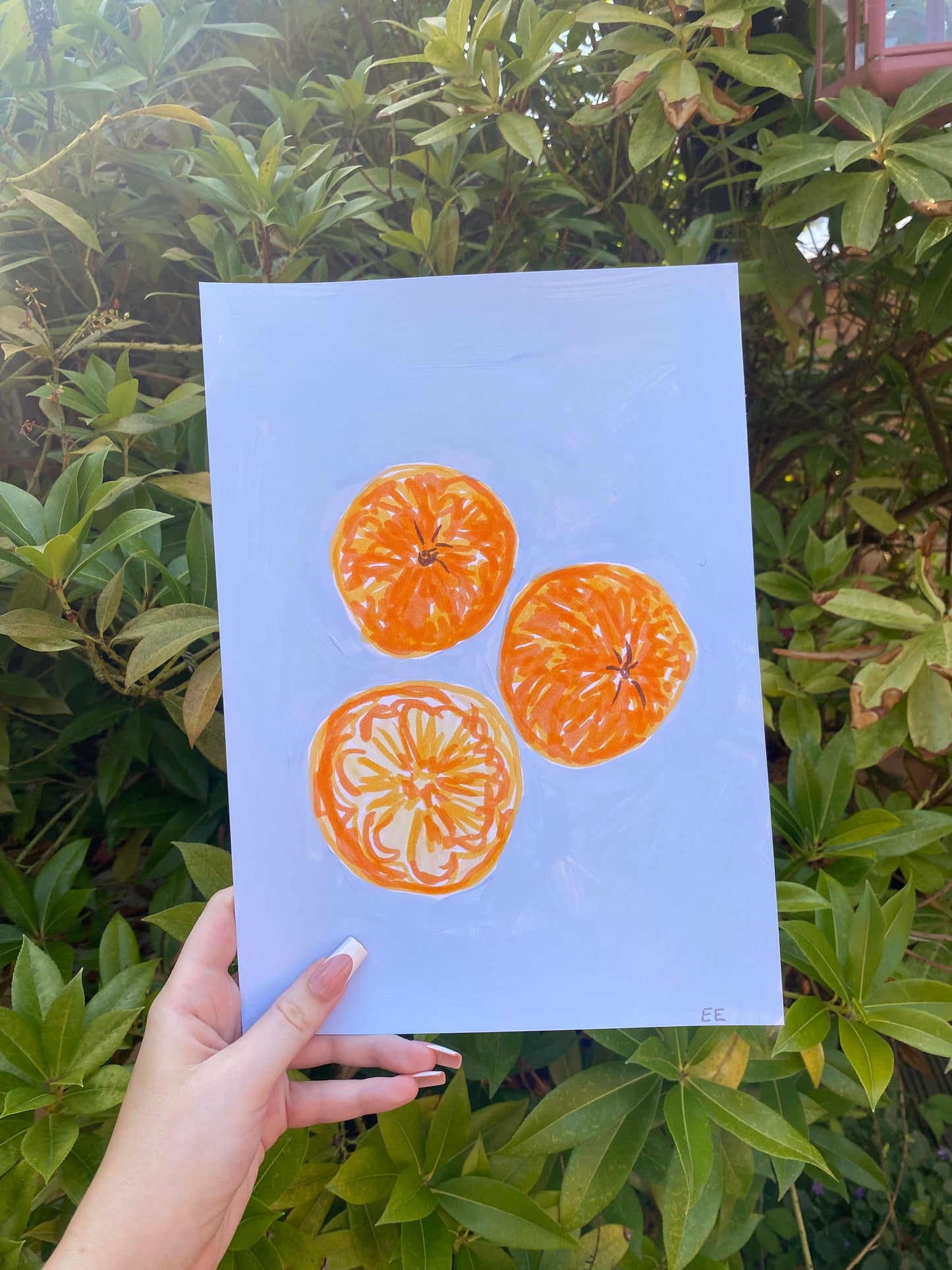 ‘Oranges’ #12