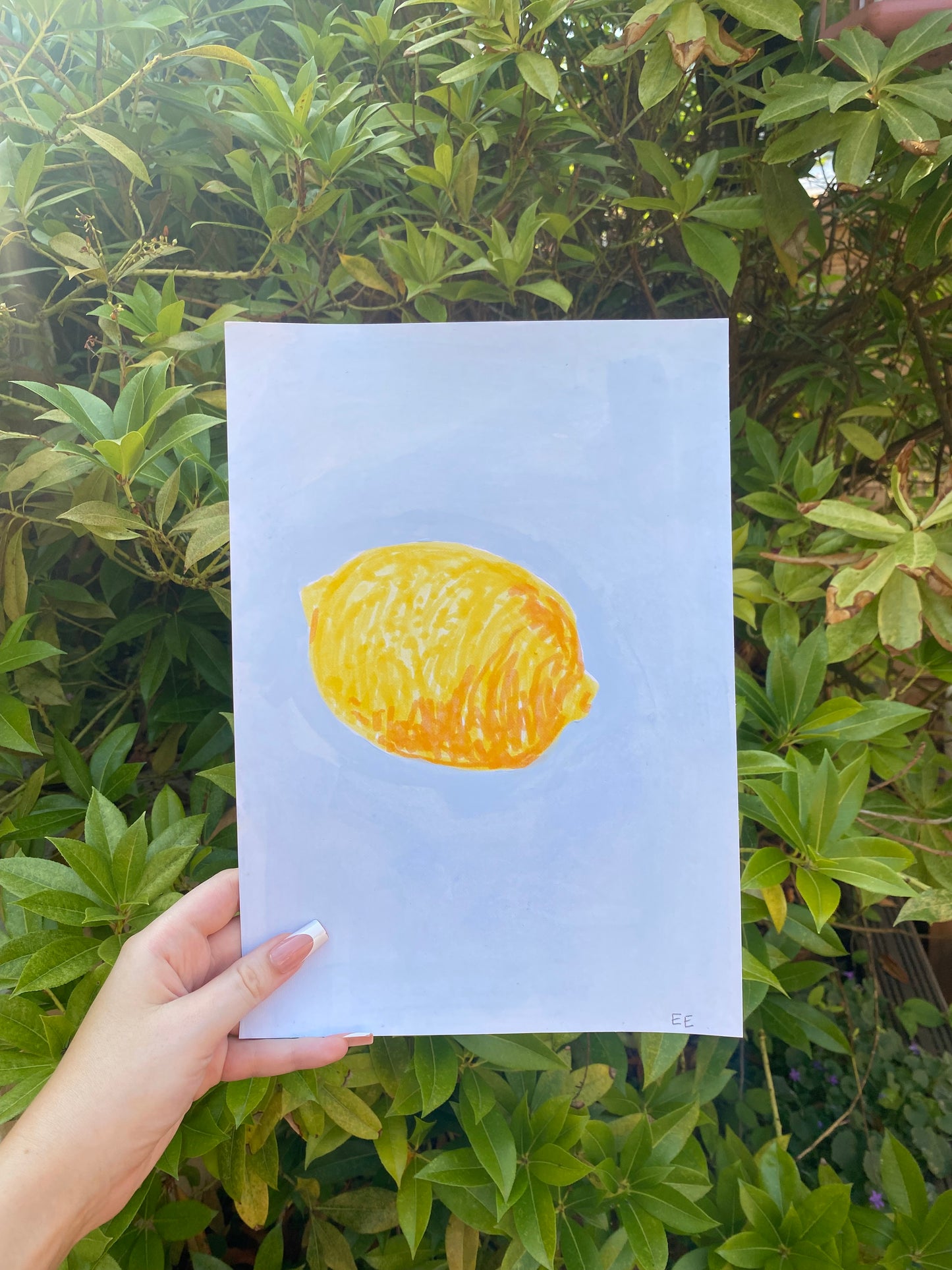 ‘Lemon’ #41