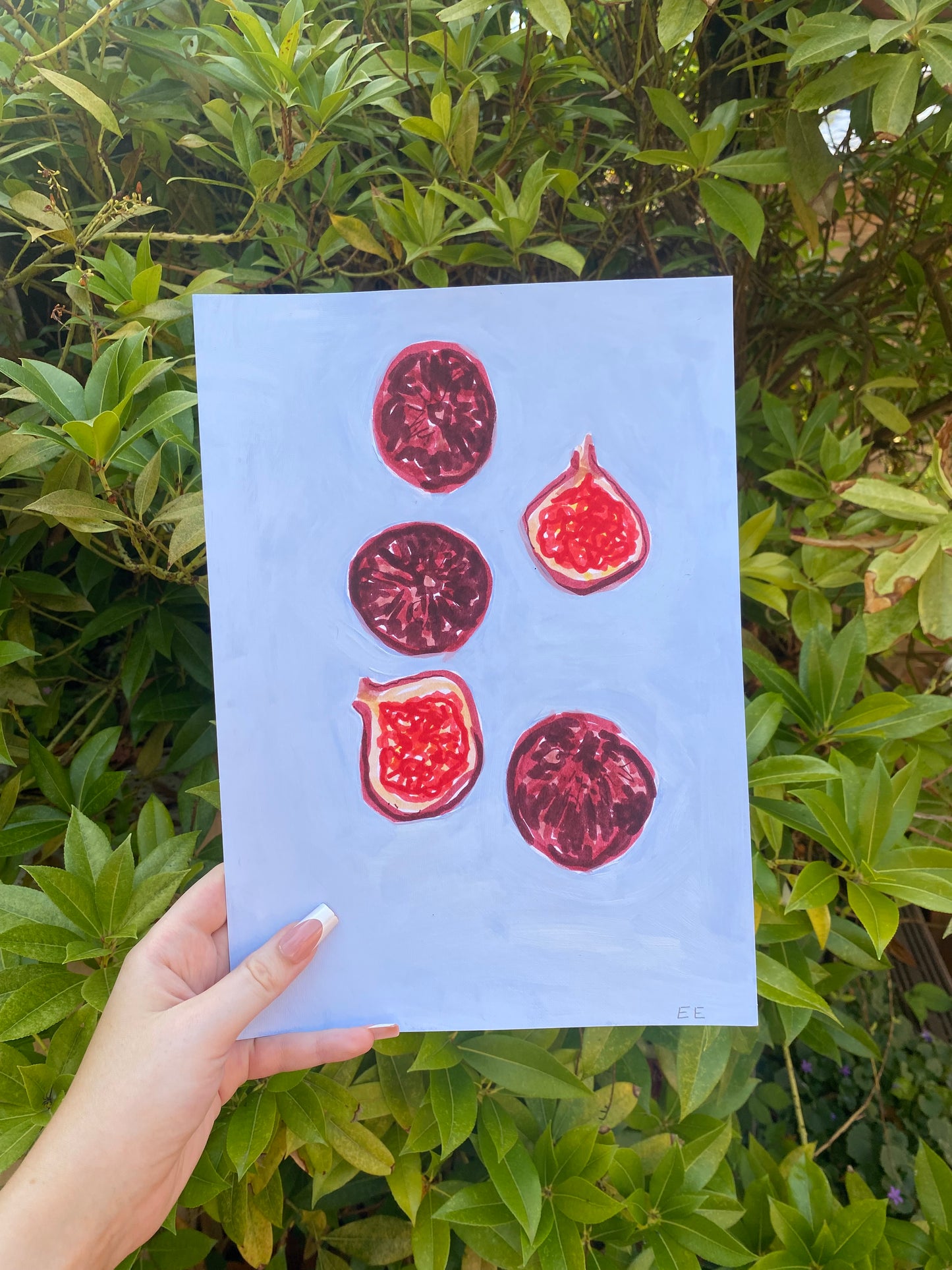 ‘Figs’ #18