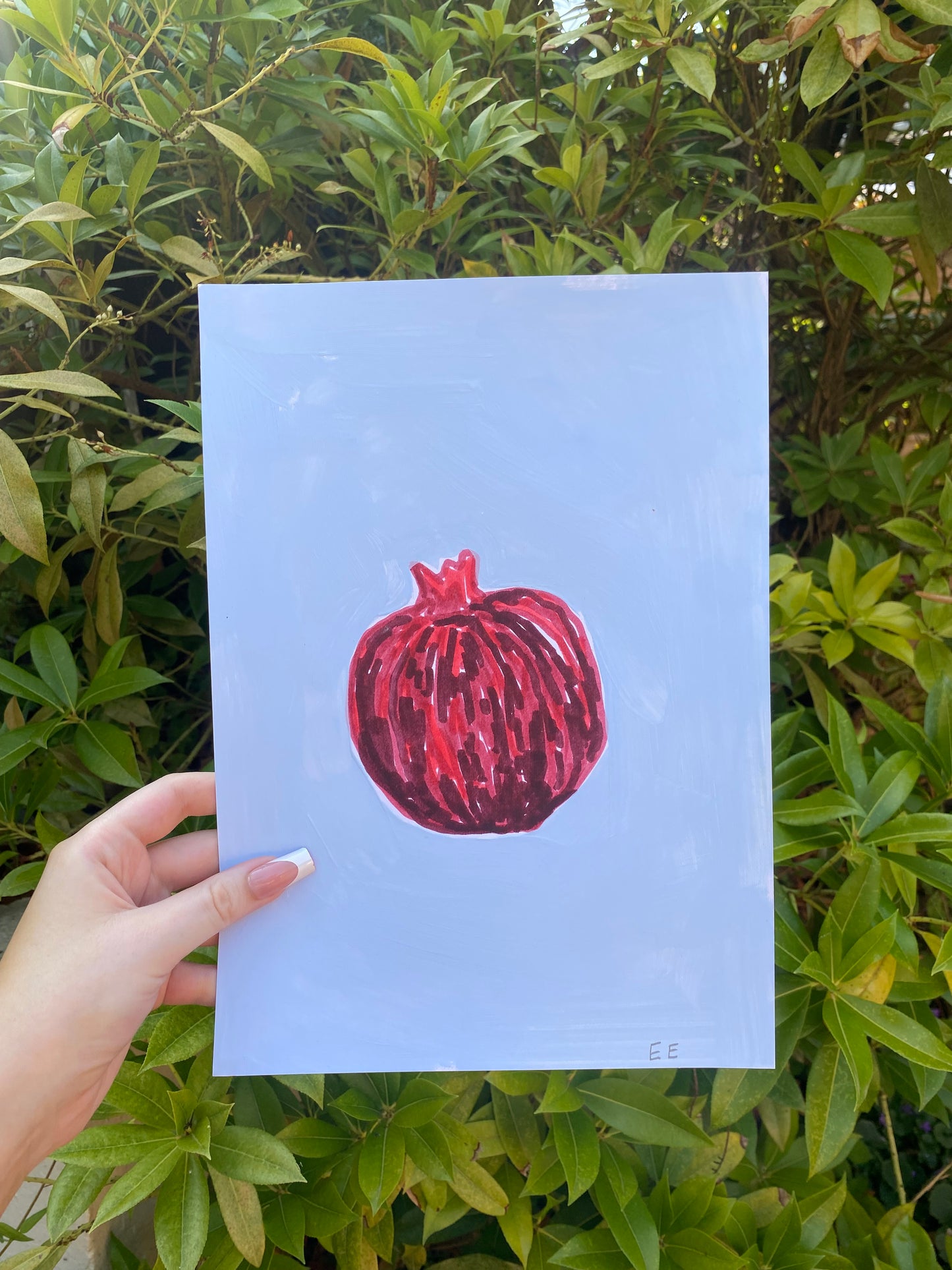 ‘Pomegranate’ #4