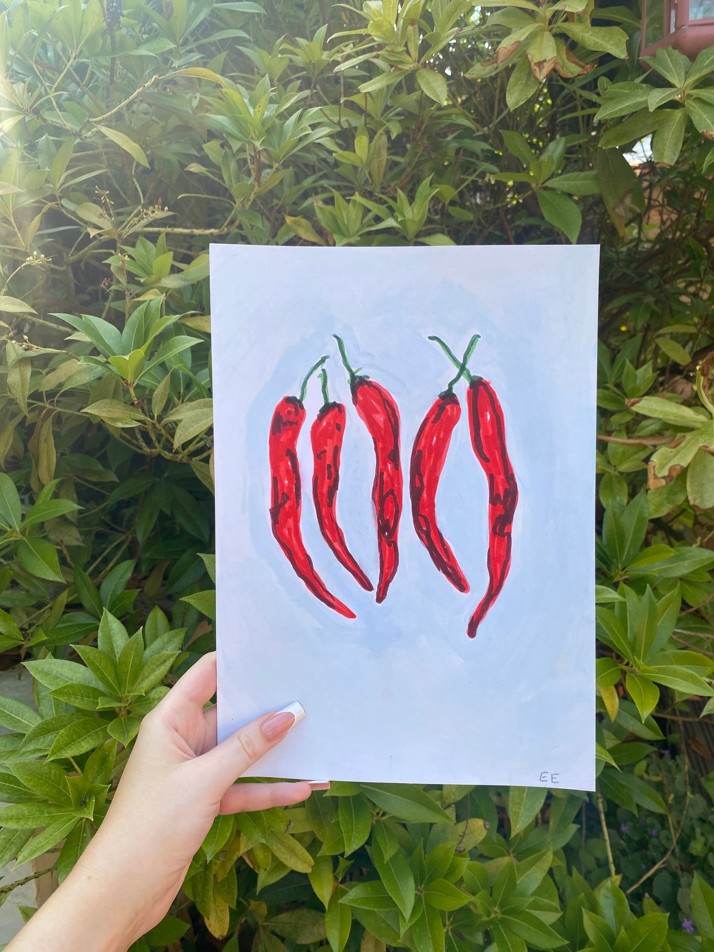 ‘Chillies’ #24