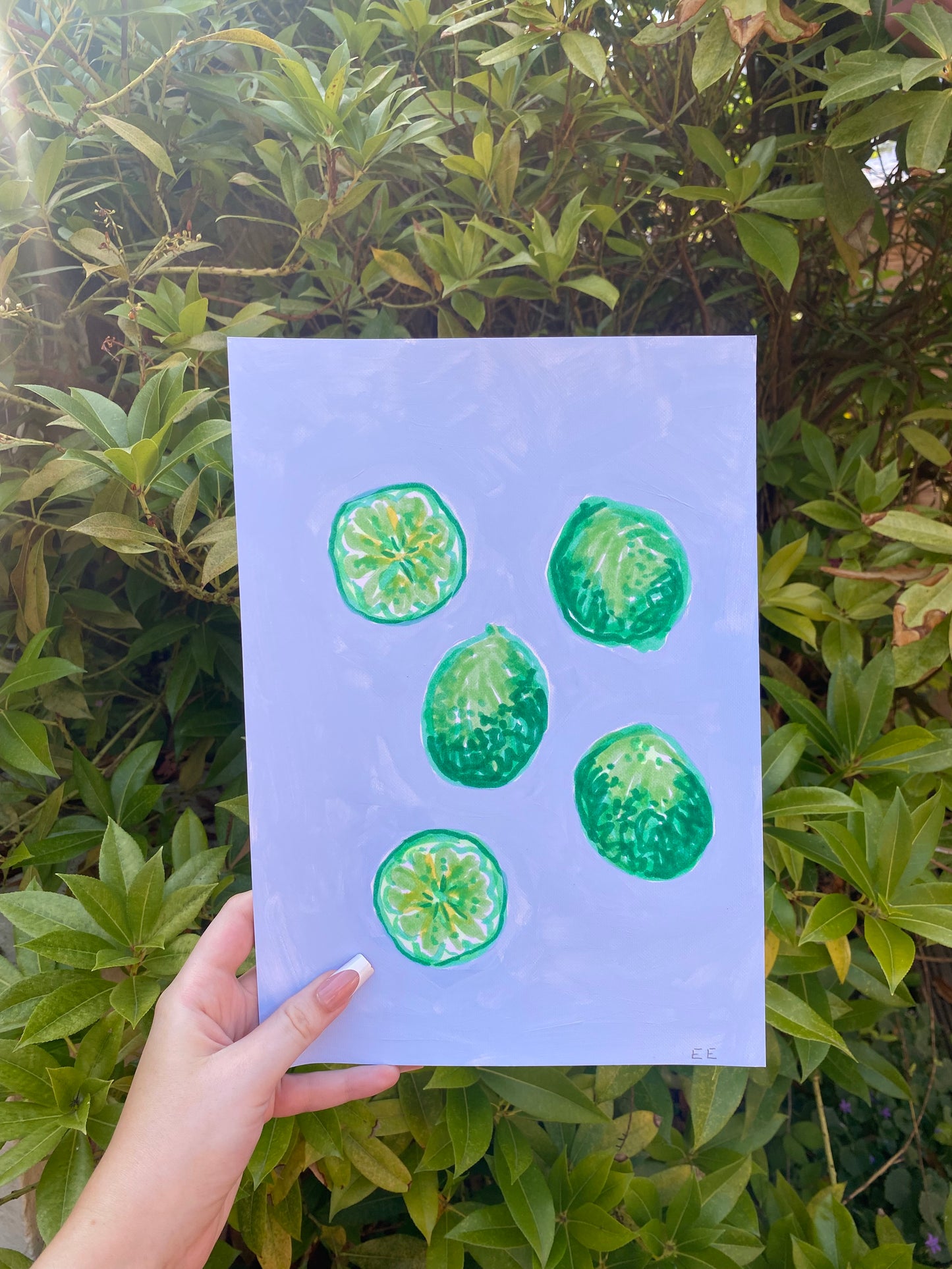 ‘Limes’ #14