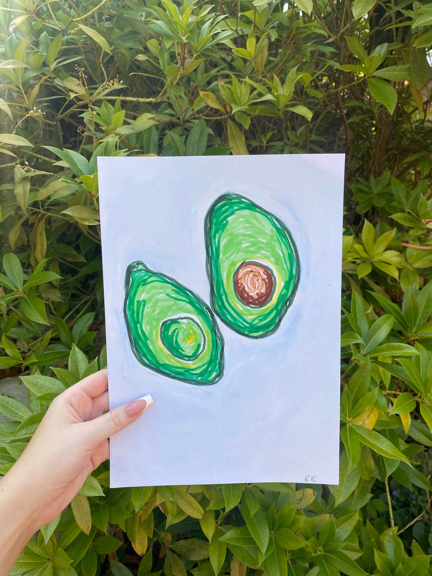 ‘Avocado’ #36