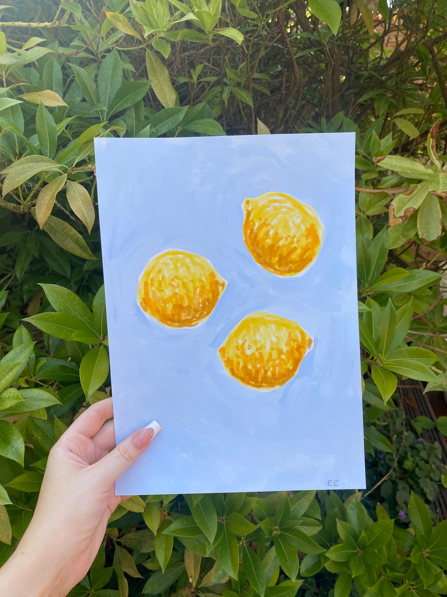‘Lemons’ #26